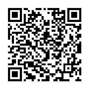 我听说这次左书记要组织一个团队去蒙内的阿图恰尔旗考察二维码生成