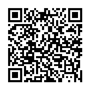 我听说那些相当郡马的年轻公子虽然不能说是家世顶尖的二维码生成