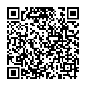 我听说那苏墨儿当初建jl公司的时候就是为了让每个女人都爱上美丽二维码生成