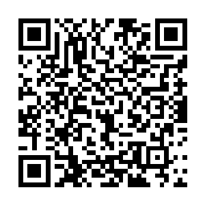 我告诉白虎精魄我倒是真的有天地始出时候的混沌之气二维码生成