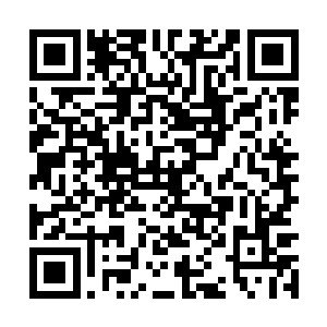 我和你们杨经理最近也一直忙不迭地想方针和对策二维码生成