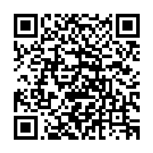 我和你说的那些仅仅是更新资料库的时候发下来的一般性说明二维码生成