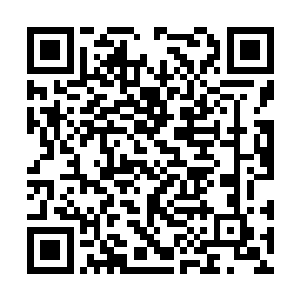 我和孩子将来就靠着你从你父亲那里学的养花本事二维码生成