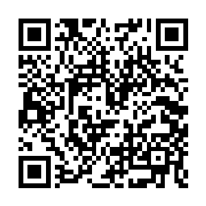 我和小叹从小学开始就一直是同班同学你知道吧二维码生成