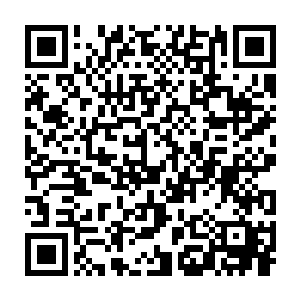 我和小妹知道有一个地方生存有数十头将近百头神王兽形成的族群二维码生成