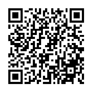 我和思璇都商量着要不要先点一只烤鸭自己吃了二维码生成