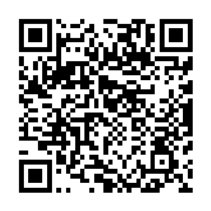 我和我的同伴亲眼看到他带着你的反抗军朋友们来到了这里二维码生成