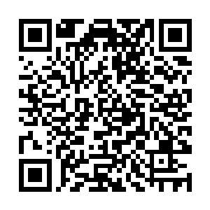 我和清尘公子成婚之后我们苍茫山自然就会相助定王二维码生成