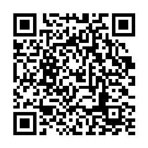 我和白奇雪好像是过不了多久就要订婚的节奏啊……二维码生成