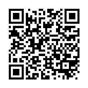 我和紫铃都将与他们返回东方海域二维码生成