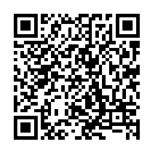 我和老包两人会认为这里面敲的就是晨钟也是有原因的二维码生成