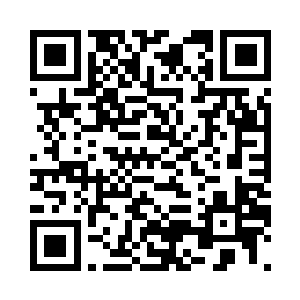 我和阿尔法大伯会帮你准备好一切的二维码生成