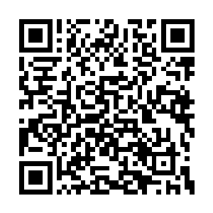 我四海宫跟你们赤蛇殿和青蛇殿以前确实没有仇二维码生成