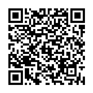 我回去之后就会建议父亲组建自己家族的武装船队二维码生成