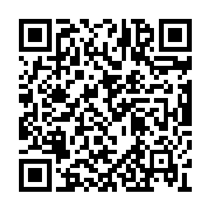 我回去之后就按照你的要求马上和陆海集团联系二维码生成