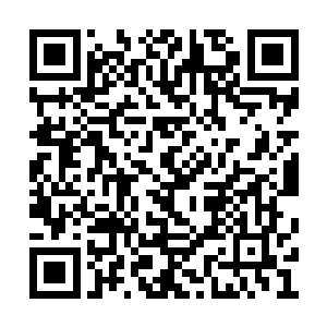 我回去怎么和暖暖交代……她把阮玫送到了战场二维码生成