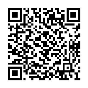 我回想之前在地上看到的小图我一下子就明白了二维码生成