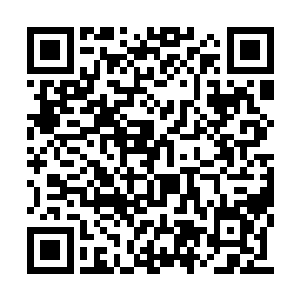 我在四海龙宫里多么可怕残忍的情形没有看见过二维码生成