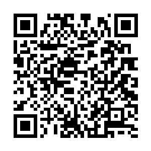 我在御书房的门口遇见了随同夏太师一起来的萌丫二维码生成