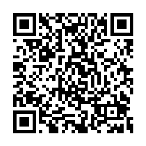 我大可以现在就把余下的劫雷晶压在你侄子身上二维码生成