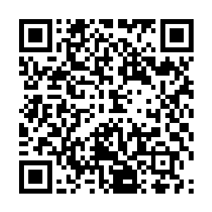 我好想听到他那从灵魂深处嘶吼出来的歌声……驴头二维码生成