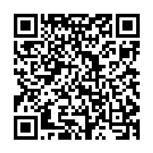 我如今的成就在那些真正强大的人眼中不过只是沧海一粟而已二维码生成