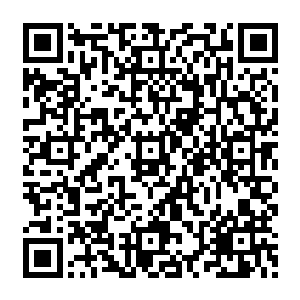 我妹妹不行了……神医快来救救我妹妹……不论什么条件我都答应……不管卖艺卖命卖身二维码生成