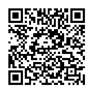 我姊旖有一天会需要以元神的形式躲到神兽的体内二维码生成