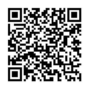 我始终认为那些埋藏的东西是属于我们竹田家族的二维码生成