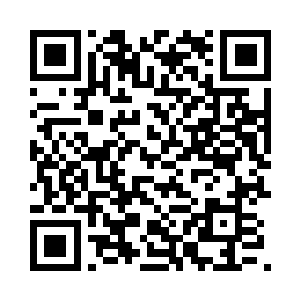 我定要活出一个属于我xx的天地来二维码生成