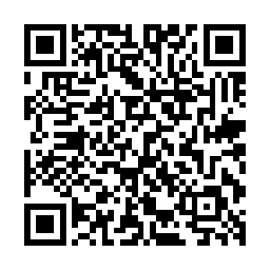 我实在不忍心看到一个曾经辉煌和伟大的文明就这样彻底湮灭二维码生成