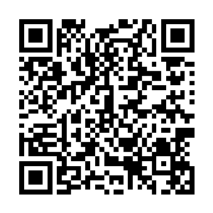 我家主公绝对会用不少于一千金币一匹战马的价格和你交易二维码生成