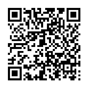 我寇江淮本以为大楚好歹还有两个半懂得用兵的人二维码生成