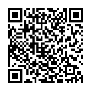 我对于此刻面前出现上一届一统三界者制定的三界律条二维码生成