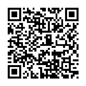 我对木灵界中的所有无极境九重天都进行过梳理二维码生成