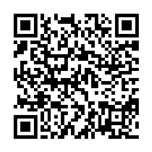 我将会从奉天四个师里抽调一批骨干补充到这四个师里二维码生成