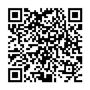 我就不信凭着我和紫烟连续扫荡了暗影四十九个分堂和一个主殿二维码生成