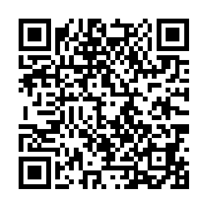 我就不相信你们这些王八蛋还能够快过我的炸弹了二维码生成
