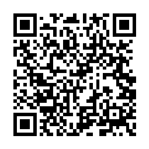 我就不相信吞党的领袖敢亲自出手动我一根汗毛二维码生成