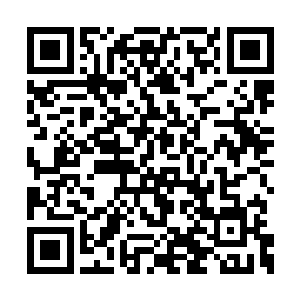 我就再也有没把道盟当成个可以正常一战的对手二维码生成