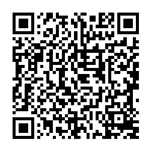我就去找马助理要了一些有关你的资料――可能里面的资料做的太详细了一些二维码生成