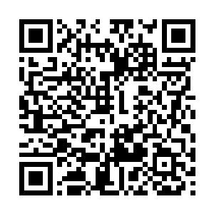 我就可以从师傅手中在将金丝甲借来穿在自己身上二维码生成