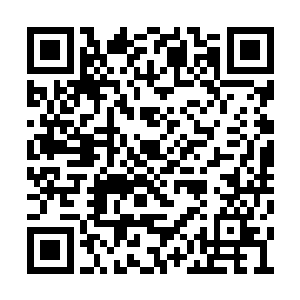 我就喜欢看到一些知名主播被路人打成狗的画面二维码生成