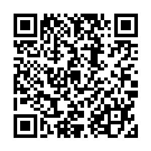 我就奇怪为什么那天突然把我叫回来接这个临时出车任务二维码生成