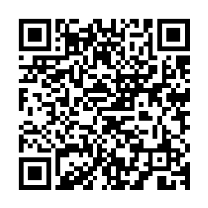 我就把我们专案组这一段时间的调查情况向各位领导做一个汇报二维码生成