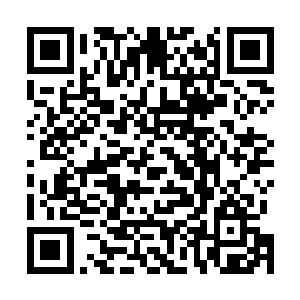 我就是觉得这件事情应该说出来让大家一起乐呵乐呵――二维码生成