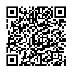 我就直接下令让坦克上的重武器直接对着我们的士兵开炮吧二维码生成