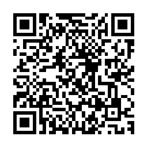 我就算吃一百个胆子也不敢在妹妹这样精明伶俐的人儿跟前撒谎二维码生成