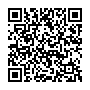 我就算是拼上我这条命我都会好好的保护娑娜的二维码生成