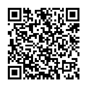 我就能直接把高旭当鸭一样丢到学校里斩首示众二维码生成